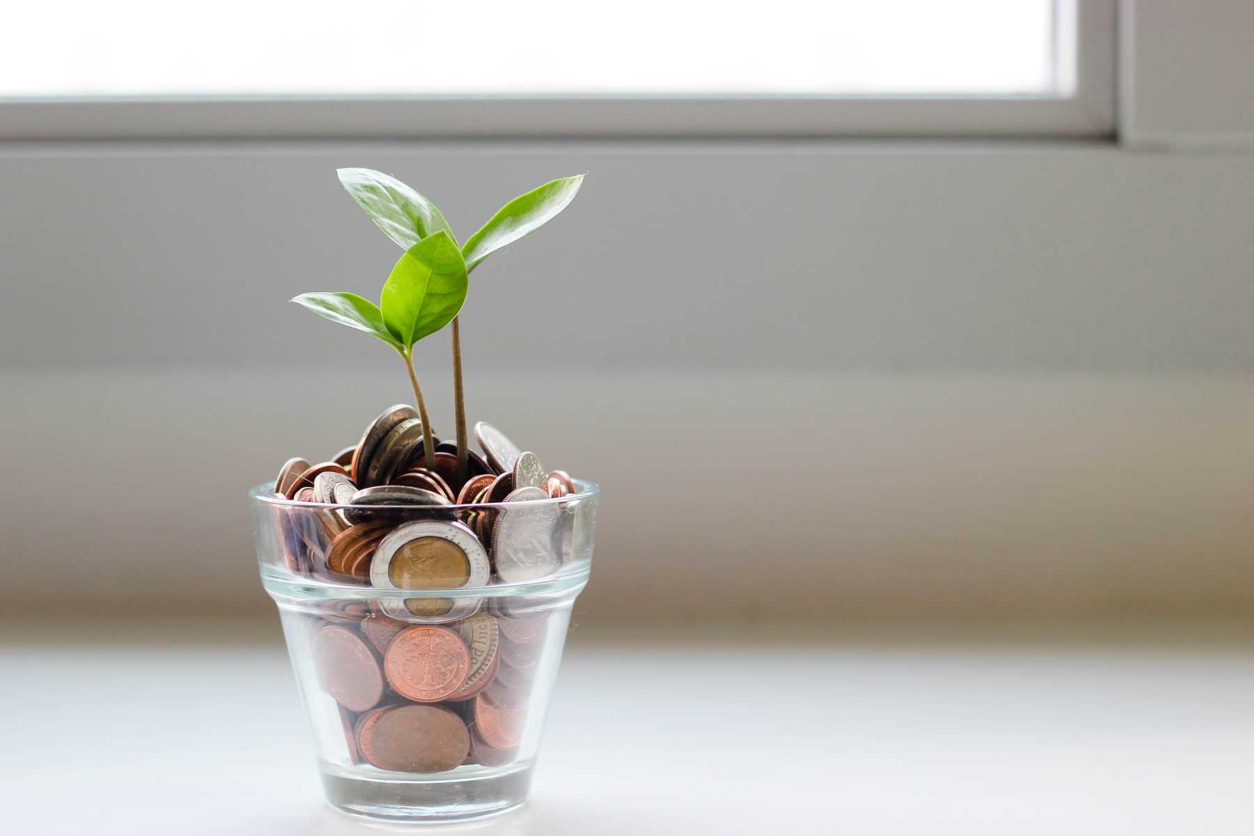 Befektetett pénz olyan mint a növény: idővel egyre nagyobbra nő.